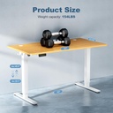 DUMOS – Escritorio eléctrico de altura ajustable de 63 pulgadas (160 cm), estaciones de trabajo para computadoras de pie a sentado, mesa grande de PC para oficina en casa, mesas de escritura y juegos 