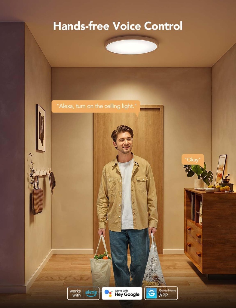 Lámpara de Techo Inteligente Govee 30cm Empotrable, RGBWW 2200K-6500K, Compatibilidad con Alexa