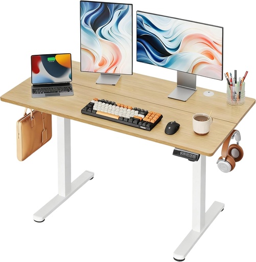 [PR-00279] DEVAISE - Escritorio eléctrico de pie de 48 pulgadas, escritorio de altura ajustable para estar de pie para oficina en casa, escritorio ergonómico para sentarse y estar de pie con pantalla táctil LED 
